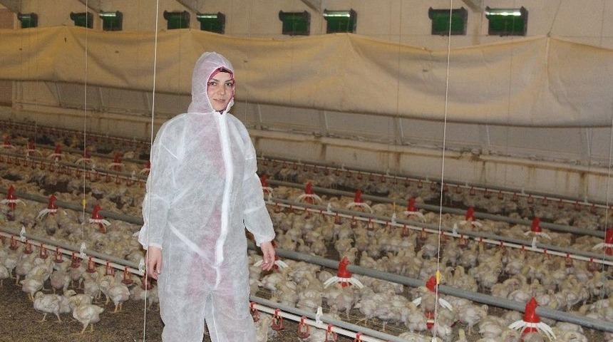 K&ouml;y&uuml;ne Yerleşip Kendi İşinin Patronu Oldu