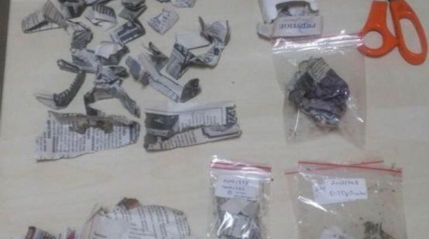 33 Paket Bonzai İle İlgili 3 Kişi Serbest