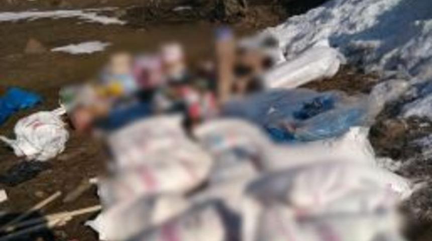 Bing&ouml;l&rsquo;de Ter&ouml;r &Ouml;rg&uuml;t&uuml;ne Ait Yaşam Malzemesi Ele Ge&ccedil;irildi