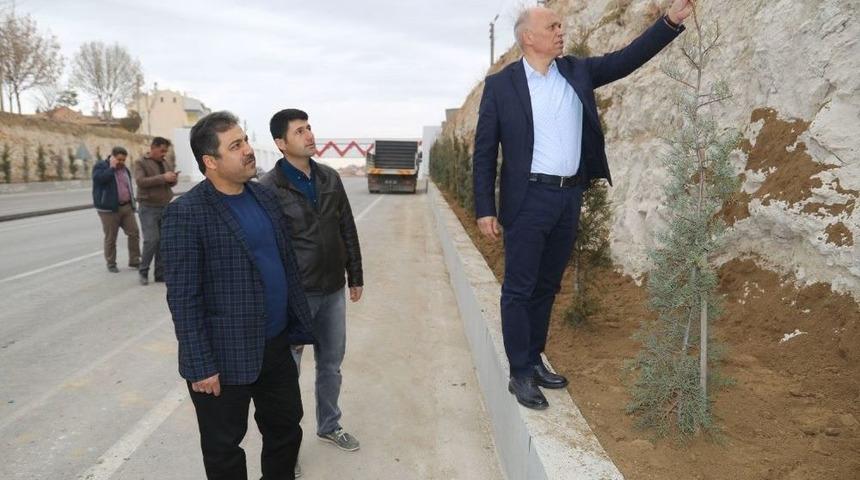 Mut Caddesinin Valilik Kısmında Peyzaj &Ccedil;alışmaları Başladı