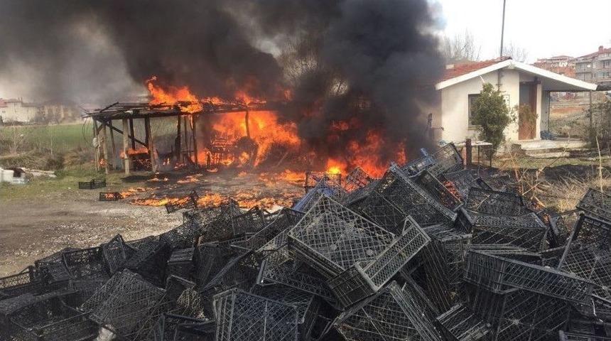 Kamelya Yangını Korkuttu