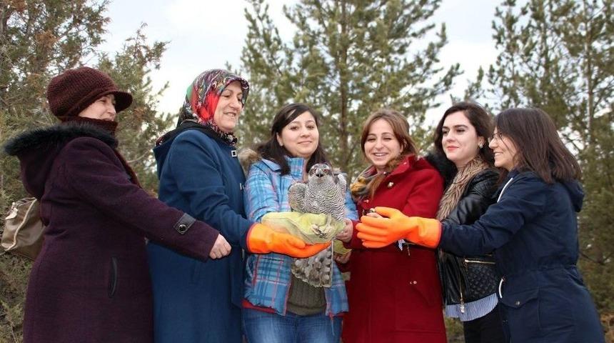 Tedavisi Tamamlanan &lsquo;&ccedil;akır&rsquo;ı Doğaya Kadınlar Salıverdi