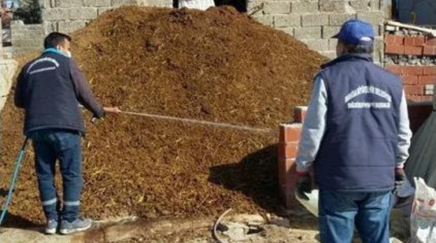 Manisa&rsquo;da Haşereyle M&uuml;cadele Başladı