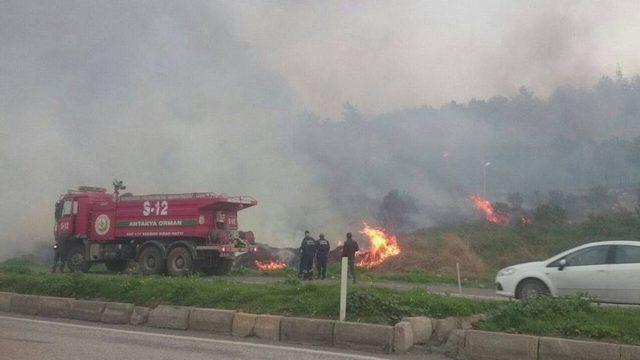 İskenderun’da Orman Yangını