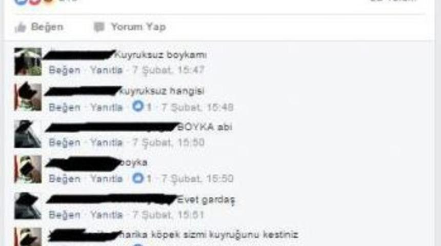 K&ouml;pek D&ouml;v&uuml;şt&uuml;renlere B&uuml;y&uuml;k Ceza