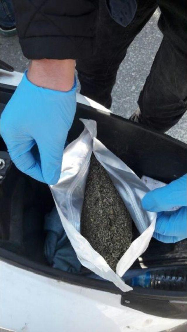 Samsun'da 2 Kilo 410 Gram Bonzai Ele Geçirildi