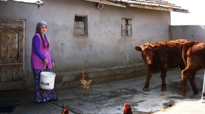 "genç Çiftçi" Projesi Hayatlarını Değiştirdi