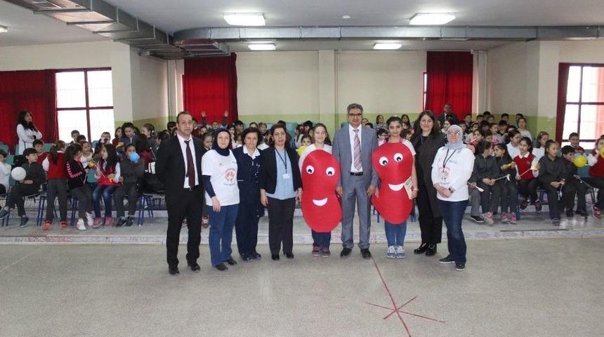 K&uuml;tahya&rsquo;da &lsquo;d&uuml;nya B&ouml;brek G&uuml;n&uuml;&rsquo; Etkinlikleri