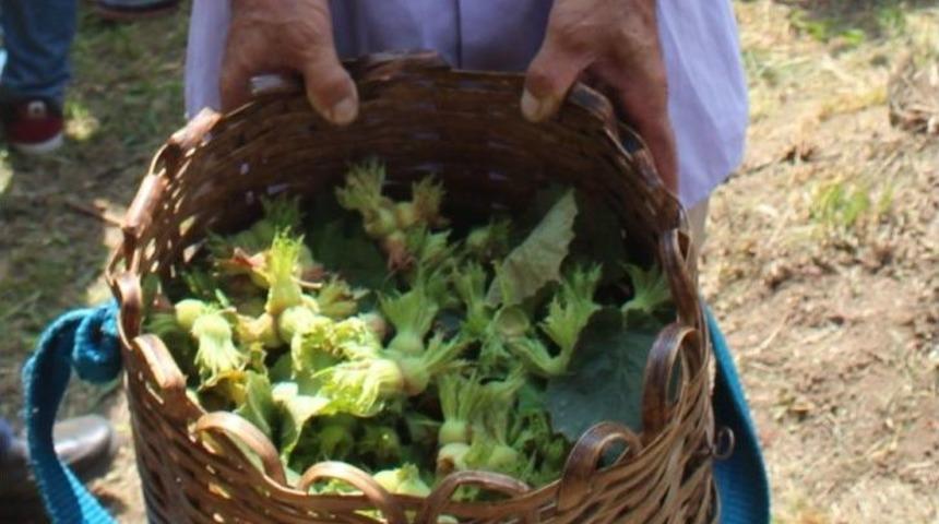 İ&ccedil; Piyasaya 6 Ayda 321 Bin Ton Fındık İndi