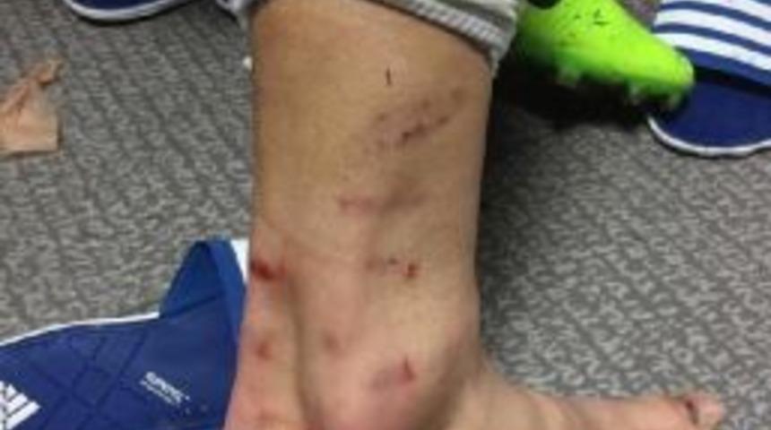 Volkan Şen'in Sertlik Isyanı