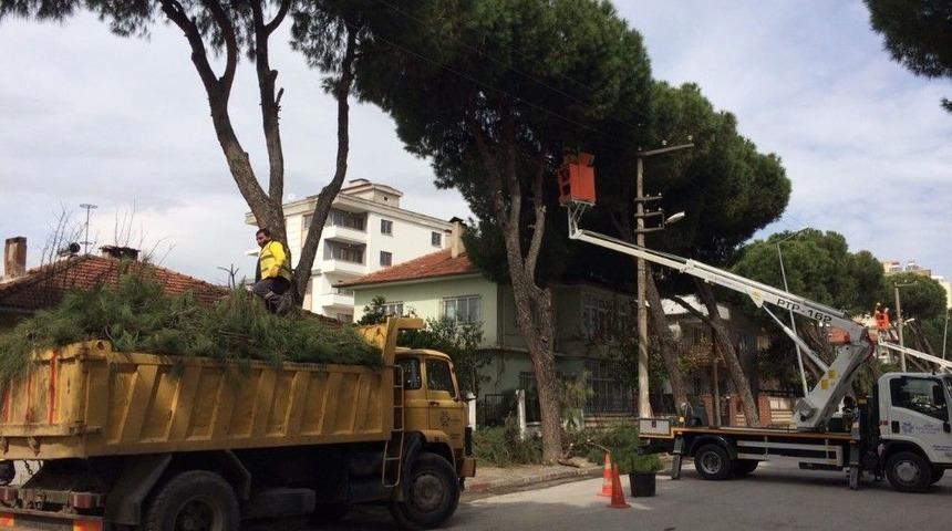 Büyükşehir Belediyesinden Bahar Temizliği