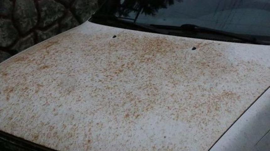 Adıyaman'da &Ccedil;amur Yağdı