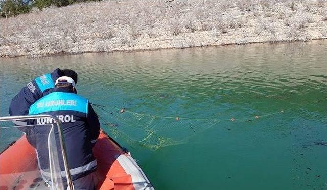 Kemer Barajı’nda Ağa Takılan Sazanlar Tekrar Suya Bırakıldı