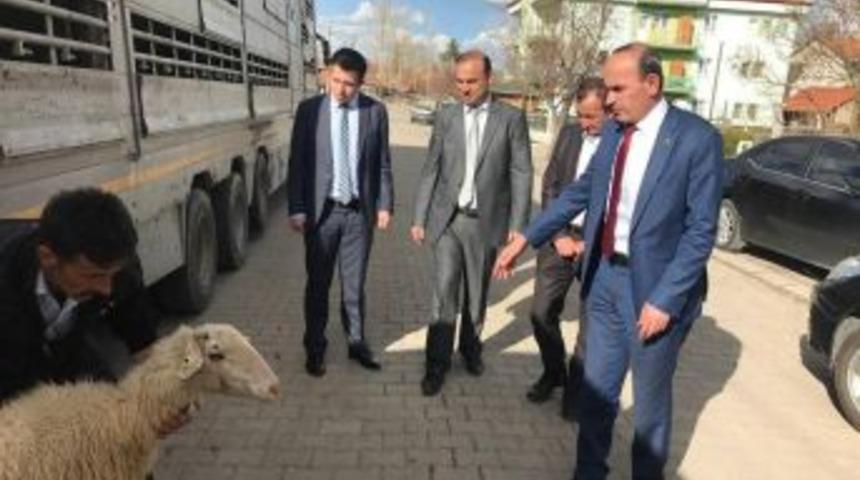 &Ccedil;avdarhisar&rsquo;da Gen&ccedil; &Ccedil;ift&ccedil;ilere Destek