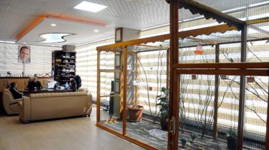 20 T&uuml;r Kuşları I&ccedil;in Ofisindeki 12 Metrekarelik Kafes Yaptırdı