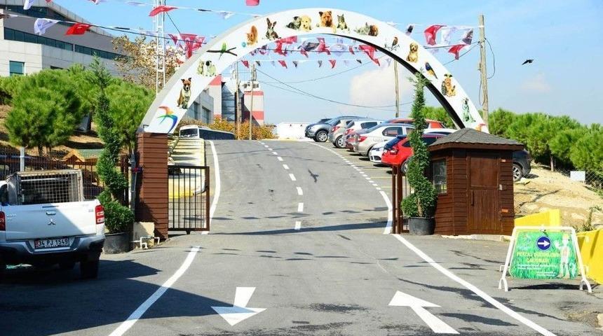 (&ouml;zel Haber) Beylikd&uuml;z&uuml; Sokak Hayvanları Rehabilitasyon Merkezi Yılda 300 Hayvanı Sahiplendiriyor