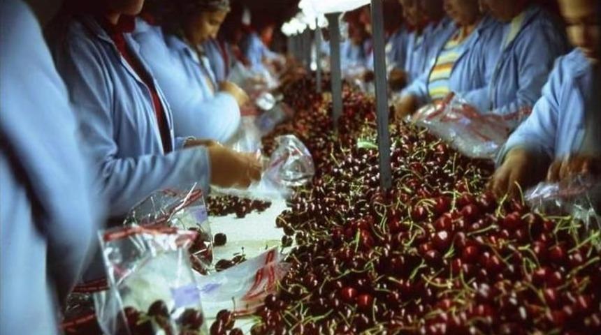 Uluborlu’ya Dışarıdan Kiraz Girişi Yasaklandı