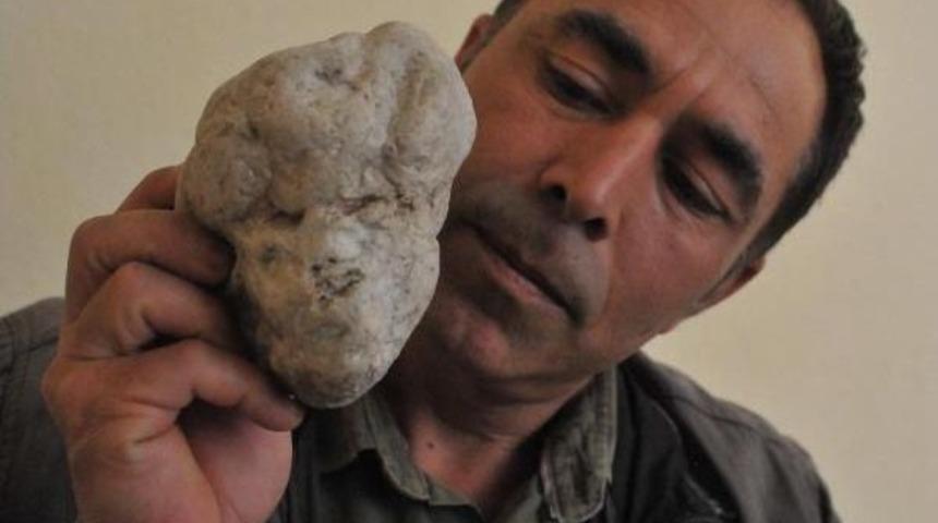 &Ccedil;obanın 'insan Y&uuml;zl&uuml;' Taşları