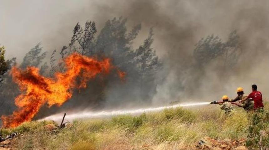 14 Yılda &Ccedil;ıkan 32 Bin Yangında, 112 Bin Hektar Orman Yandı