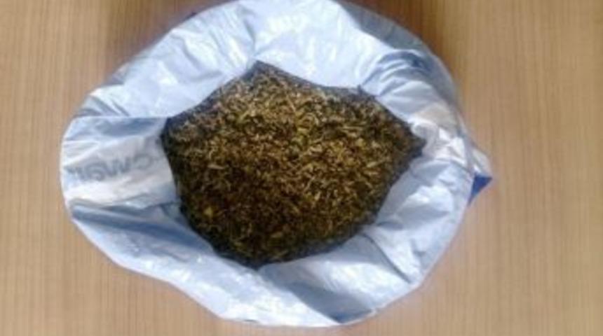 Nevşehir&rsquo;de 250 Gram Bonzai Ele Ge&ccedil;irildi