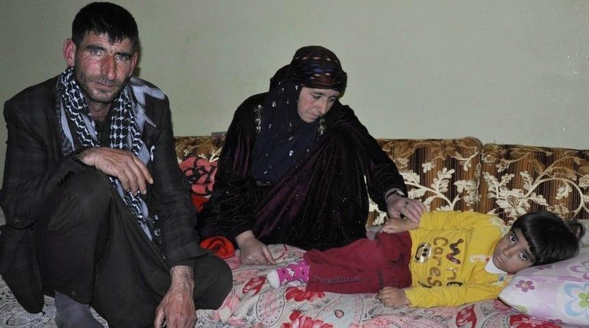 Minik Ayşeg&uuml;l&rsquo;&uuml;n İki B&ouml;breği De 7 Yaşında İflas Etti