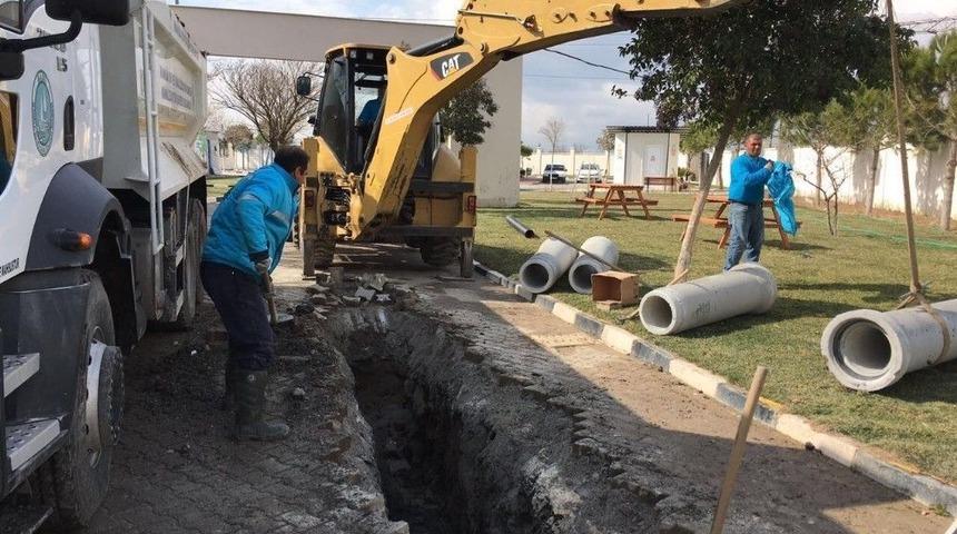 Barınak Hayvanlarının Can G&uuml;venliği Kontrol Altında