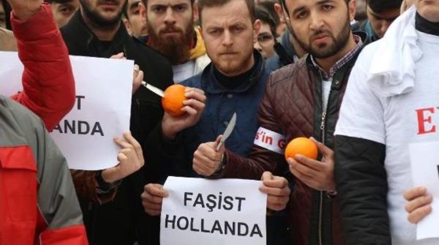 Hollanda'yı Portakal Sıkarak Protesto Ettiler