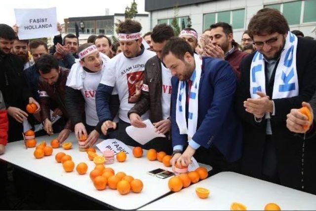 Hollanda'yı Portakal Sıkarak Protesto Ettiler