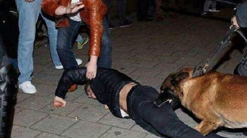 Bakan &Ccedil;avuşoğlu, O Fotoğrafları Paylaştı