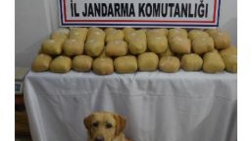 Başkale'de 70 Kilo Esrar Ele Ge&ccedil;irildi