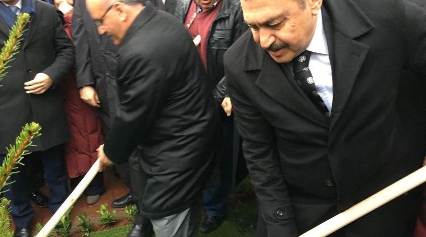 Bakan Eroğlu, &Uuml;mraniye&rsquo;de Fidan Dikti
