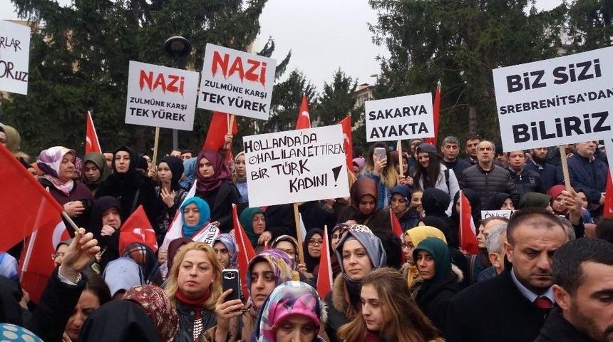 Sakarya&rsquo;da Stk&rsquo;lardan Avrupa&rsquo;ya Tepki Y&uuml;r&uuml;y&uuml;ş&uuml;
