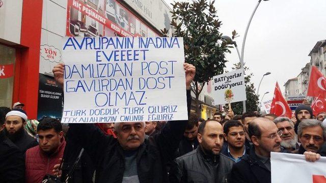 Sakarya’da Stk’lardan Avrupa’ya Tepki Yürüyüşü