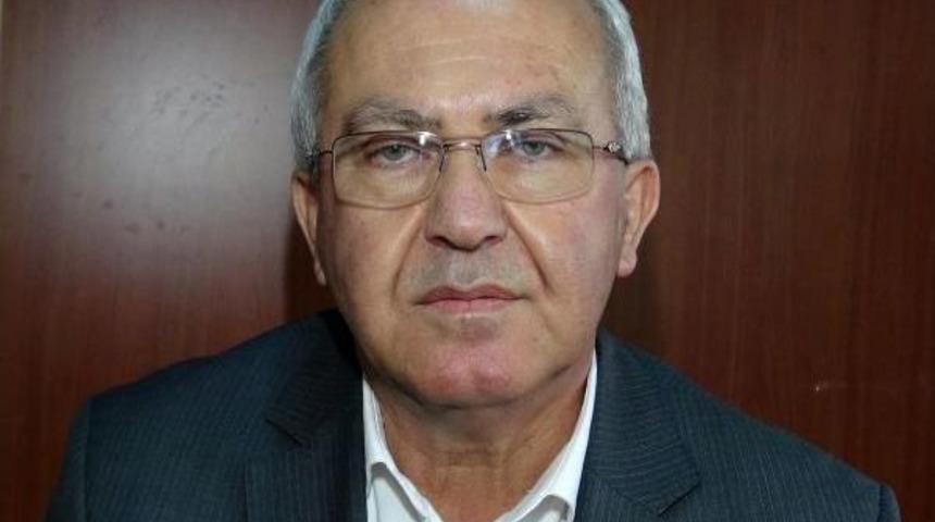 Muğla'da Arı &Ouml;l&uuml;mleri Arttı