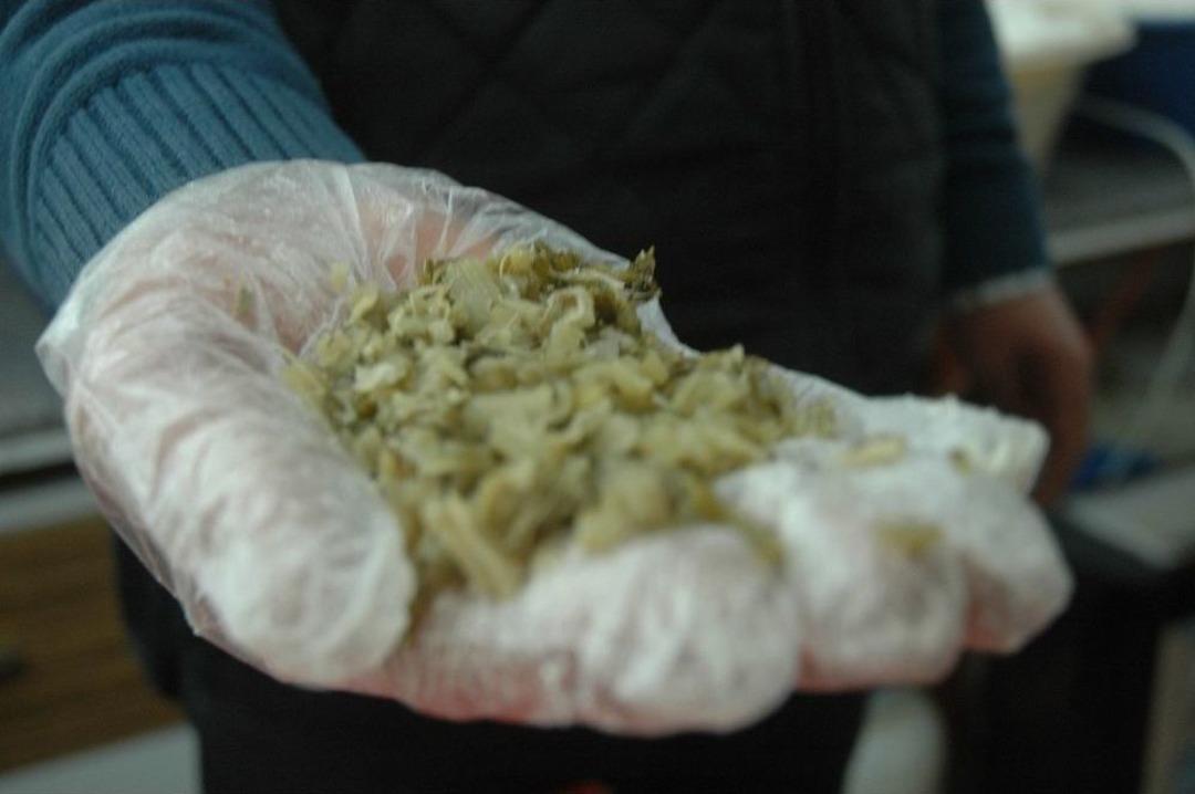 Yy&uuml;&rsquo;den Diyabet Hastalarını Umutlandıran &Ccedil;alışma