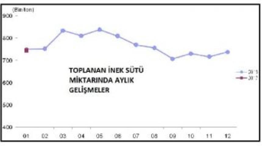 Ocak&rsquo;Ta &Uuml;retilen Ve Toplanan S&uuml;t Miktarı 891 Bin 610 Ton Oldu