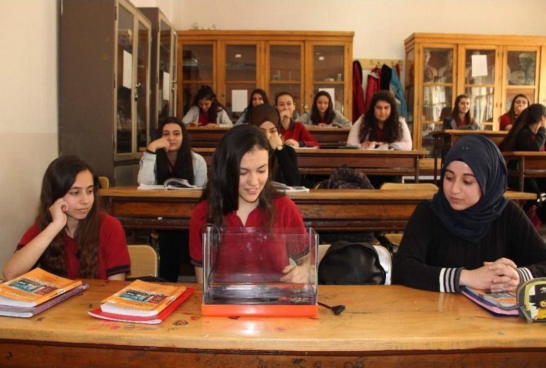 (&ouml;zel Haber) Dersi Hayvanlarla Birlikte İşliyorlar