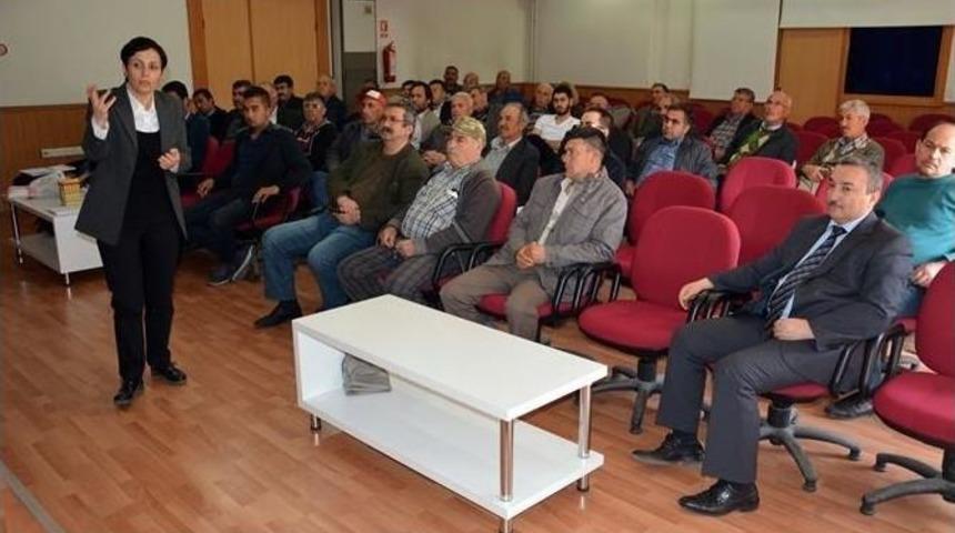Aydın&rsquo;da Arı S&uuml;t&uuml; &Uuml;retimi Farkındalık Toplantısı Yapıldı