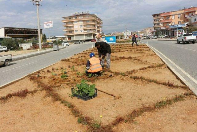 Alanya Konaklı Güzelleşiyor