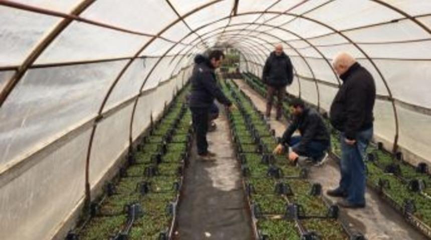 Edirne &Ccedil;i&ccedil;eklerle Renklenecek