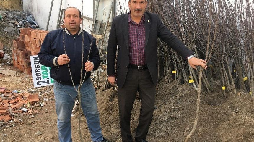 Akdağmadeni&rsquo;nde Fidan Satışlarına Yoğun İlgi