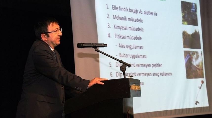 Fındıkta Rekolteyi Artıracak &Ccedil;&ouml;z&uuml;m Bulundu