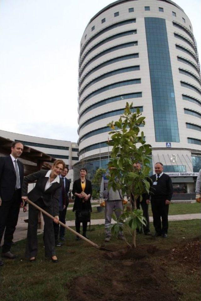 Paü’ye 700 Adet Fidan Bağışlandı