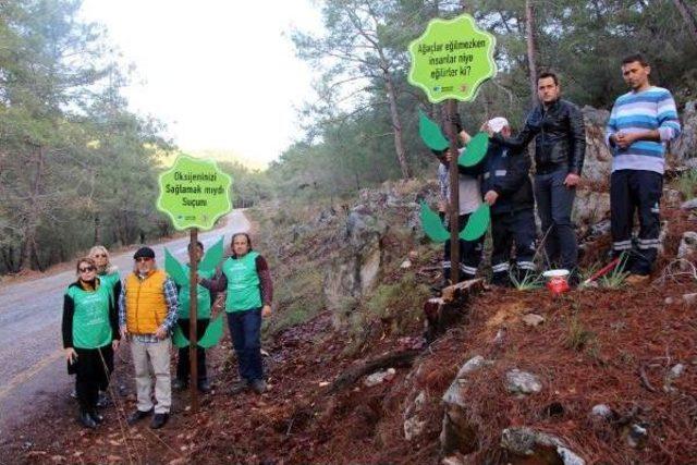 Kesilen 506 Kızılçamın Yerine Sembolik Ağaçlar Dikildi