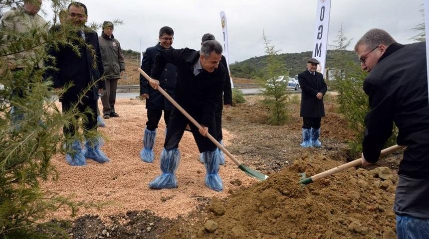 15 Temmuz Şehitler Ormanında Fidan Dikimi