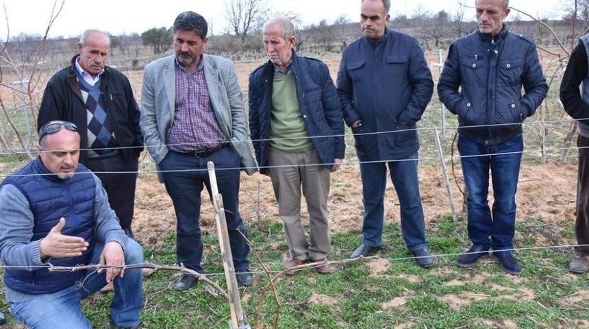 Tekirdağ&rsquo;da Tarıma Destek &Ccedil;alışmaları