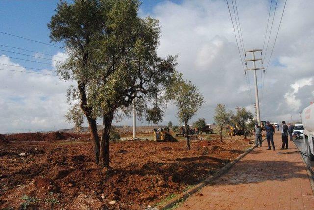 İmara Açılan Arazilerdeki Bitki Örtüsü Başka Arazilere Nakil Ediliyor