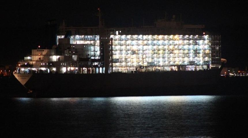 Hayvan Gemisi &Ccedil;anakkale Boğazında Arıza Yaptı