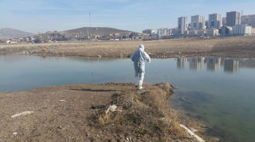 İla&ccedil;lama &Ccedil;alışmaları Erken Başladı