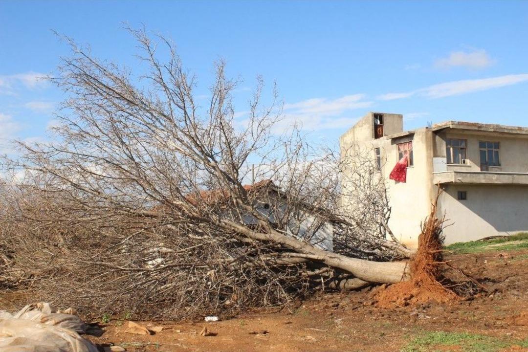 Antalya&rsquo;da Hortum Seraları Vurdu